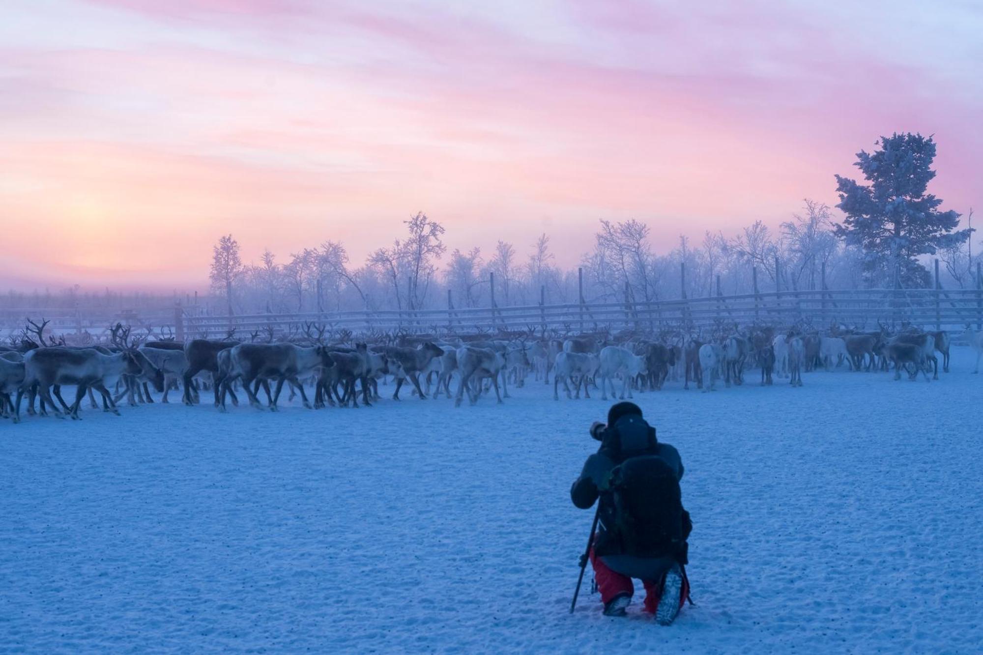 Nivunki Village Muonio Bagian luar foto