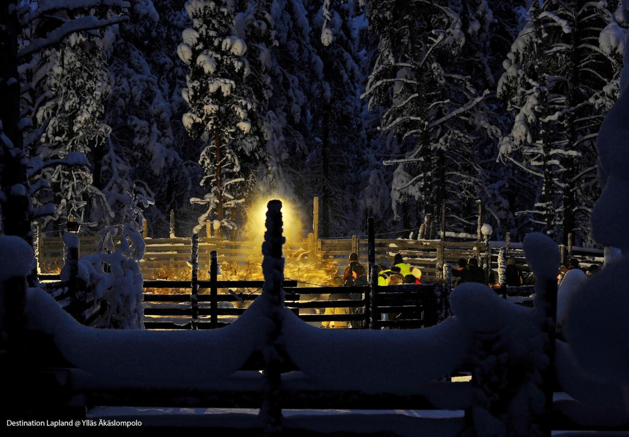 Nivunki Village Muonio Bagian luar foto